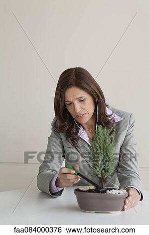 Mature businesswoman raking soil in bonsai pot View Large Photo Image Stock Photograph - Mature businesswoman raking soil in bonsai pot. Fotosearch