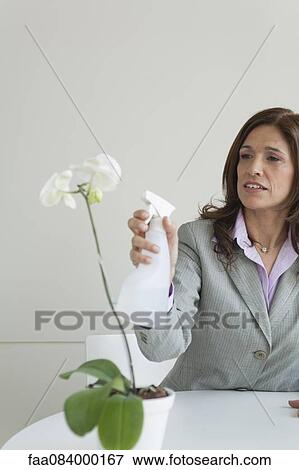 Stock Photo - Mature businesswoman spraying water on orchid flowers. Fotosearch