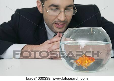 Stock Photo - Mid-adult businessman watching goldfish in fishbowl. Fotosearch