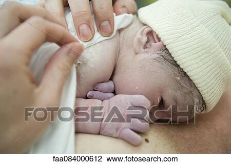 Stock Image - Newborn baby lying on mother's chest. Fotosearch