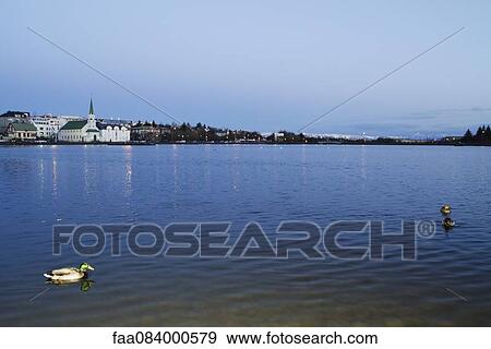 Tj? rnin lake at dusk, Reykjavi View Large Photo Image Stock Photo - Tj? rnin lake at dusk, Reykjavi. Fotosearch