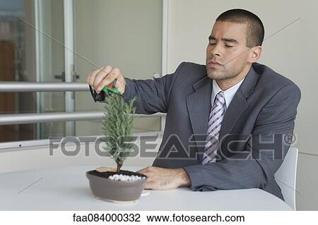 Young man pruning bonsai tree View Large Photo Image Stock Image - Young man pruning bonsai tree. Fotosearch