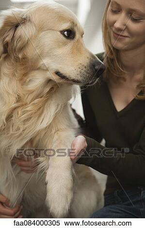 Young woman petting golden retriever View Large Photo Image Stock Photography - Young woman petting golden retriever. Fotosearch