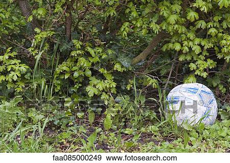 Abandoned soccer ball View Large Photo Image Stock Photo - Abandoned soccer ball. Fotosearch