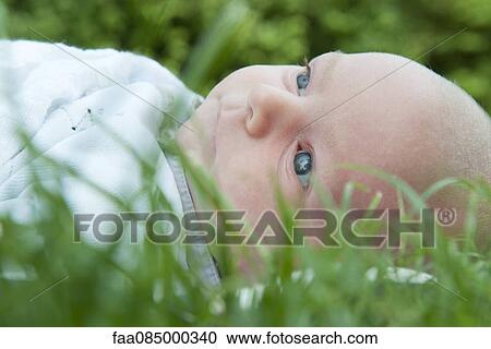 Stock Image - Baby lying in grass. Fotosearch