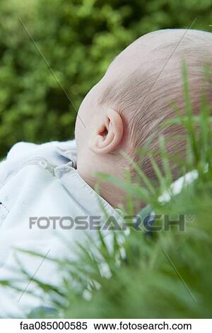 Baby lying in grass View Large Photo Image Stock Photography - Baby lying in grass. Fotosearch