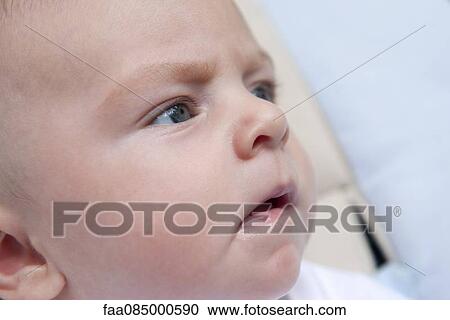 Baby's face, close-up View Large Photo Image Stock Image - Baby's face, close-up. Fotosearch