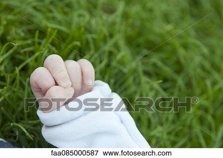 Baby's hand, grass in background View Large Photo Image Stock Photo - Baby's hand, grass in background. Fotosearch