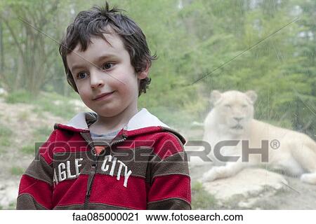Boy in front of lion exhibit at zoo, portrait View Large Photo Image Stock Image - Boy in front of lion exhibit at zoo, portrait. Fotosearch