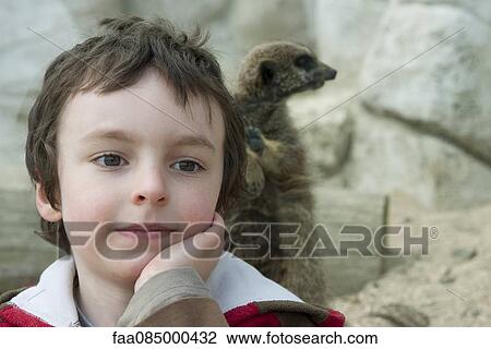 Boy in front of meerkat exhibit at the zoo View Large Photo Image Stock Image - Boy in front of meerkat exhibit at the zoo. Fotosearch