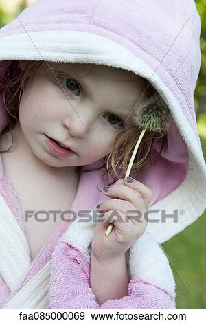 Little girl rubbing dandelion seedhead on face View Large Photo Image Stock Photo - Little girl rubbing dandelion seedhead on face. Fotosearch