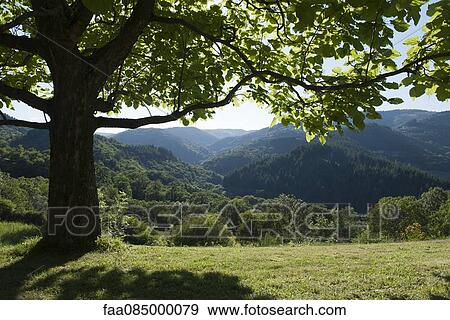 Scenic landscape View Large Photo Image Stock Photo - Scenic landscape. Fotosearch
