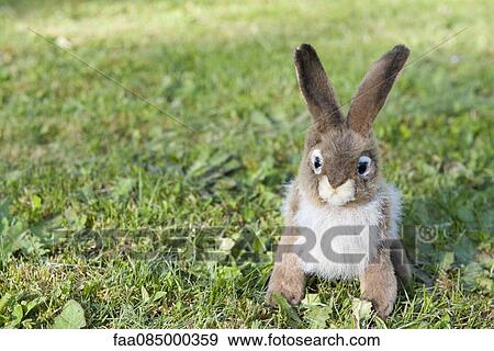 Stock Photo - Stuffed rabbit sitting on grass. Fotosearch
