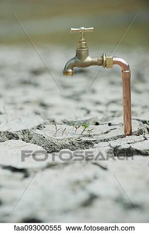 Faucet over seedlings growing in dry, cracked earth View Large Photo Image Stock Photography - Faucet over seedlings growing in dry, cracked earth. Fotosearch