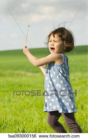 Little girl running in field, scattering dandelion seeds in wind View Large Photo Image Stock Photograph - Little girl running in field, scattering dandelion seeds in wind. Fotosearch