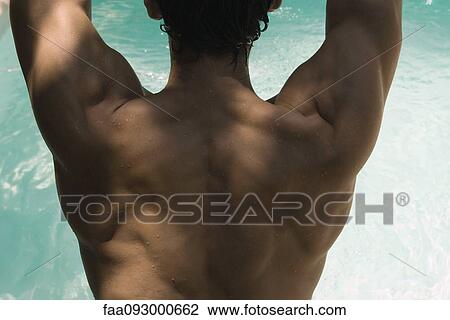 Man's muscular back, water in background View Large Photo Image Stock Image - Man's muscular back, water in background. Fotosearch