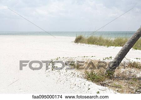 Beach scene View Large Photo Image Picture - Beach scene. Fotosearch