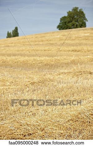 Countryside View Large Photo Image Stock Photo - Countryside. Fotosearch