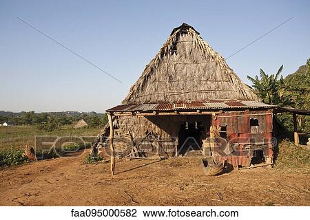 Dilapidated barn with thatched roof View Large Photo Image Stock Image - Dilapidated barn with thatched roof. Fotosearch
