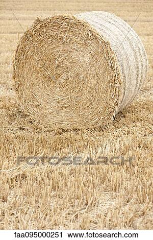 Stock Image - Haybale in field. Fotosearch