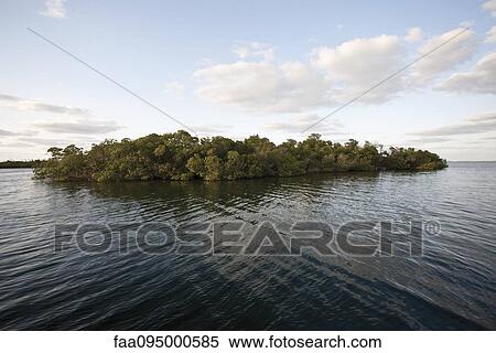 Small wooded island in water View Large Photo Image Stock Photography - Small wooded island in water. Fotosearch