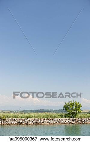 Stock Photo - Tall grass along lakeshore. Fotosearch