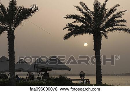 Palm trees silhouetted by moonlight on beach View Large Photo Image Stock Photo - Palm trees silhouetted by moonlight on beach. Fotosearch