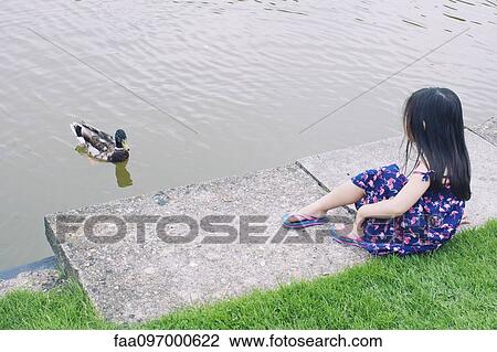 Stock Image - Little girl at water's edge watching duck. Fotosearch