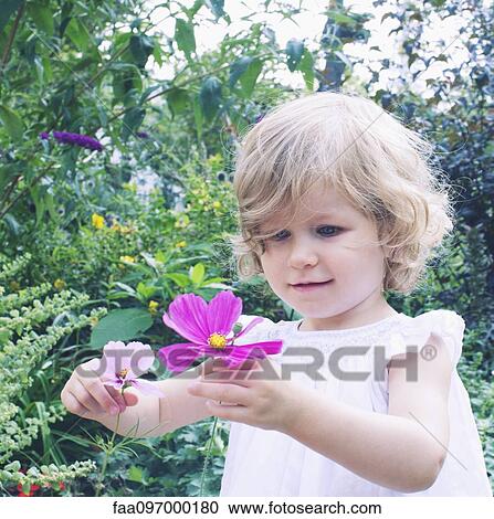 Little girl picking flowers View Large Photo Image Stock Image - Little girl picking flowers. Fotosearch