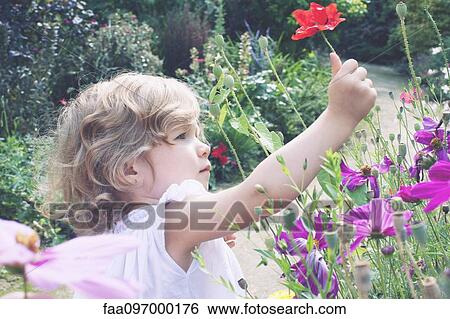 Stock Photograph - Little girl picking flowers. Fotosearch