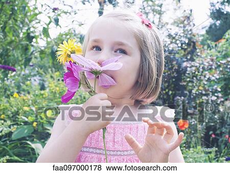 Little girl smelling flower View Large Photo Image Stock Photo - Little girl smelling flower. Fotosearch