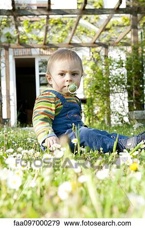 Stock Photo - Toddler sitting in yard, portrait. Fotosearch