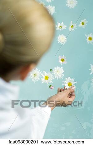 Woman reaching for flower floating in water View Large Photo Image Stock Image - Woman reaching for flower floating in water. Fotosearch