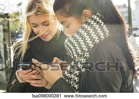 Young women together looking at their individual smartphones View Large Photo Image Stock Image - Young women together looking at their individual smartphones. Fotosearch