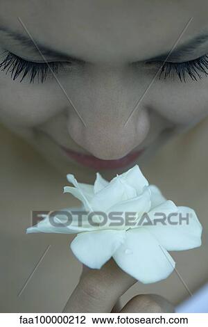 Young woman smelling gardenia, close-up View Large Photo Image Stock Image - Young woman smelling gardenia, close-up. Fotosearch