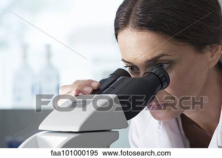 Scientist using microscope in laboratory View Large Photo Image Stock Photography - Scientist using microscope in laboratory. Fotosearch