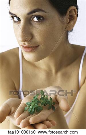 "Young woman holding out handful of fresh thyme, looking at camera" View Large Photo Image Stock Image - "Young woman holding out handful of fresh thyme, looking at camera". Fotosearch
