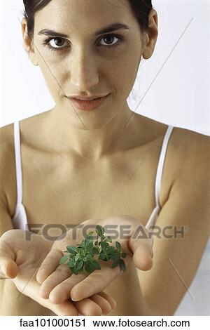 "Young woman holding out sprig of fresh thyme, smiling at camera" View Large Photo Image Stock Image - "Young woman holding out sprig of fresh thyme, smiling at camera". Fotosearch