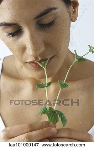 "Young woman smelling fresh mint, eyes closed" View Large Photo Image Stock Photo - "Young woman smelling fresh mint, eyes closed". Fotosearch