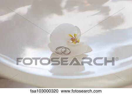 Stock Image - Wedding rings resting on orchid. Fotosearch