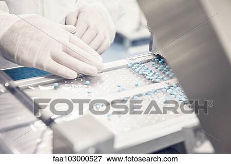 Worker placing pills in tablet trays moving along conveyor belt View Large Photo Image Stock Photo - Worker placing pills in tablet trays moving along conveyor belt. Fotosearch