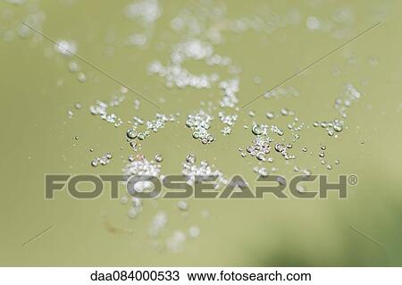 Bubbles in water View Large Photo Image Stock Image - Bubbles in water. Fotosearch
