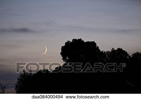 Picture - Crescent moon in twilight sky. Fotosearch