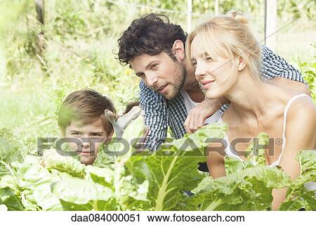 Stock Image - Family gardening together. Fotosearch