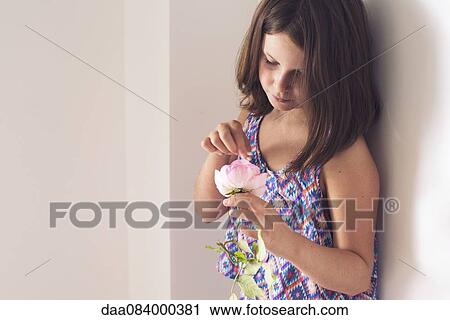 Girl picking petals from rose View Large Photo Image Stock Image - Girl picking petals from rose. Fotosearch