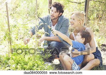 Little boy learning how to garden View Large Photo Image Stock Photography - Little boy learning how to garden. Fotosearch