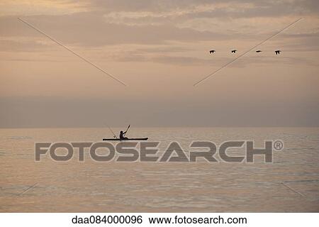 Person kayaking at sunset View Large Photo Image Stock Photograph - Person kayaking at sunset. Fotosearch