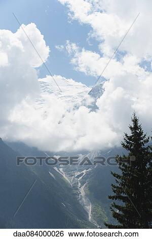 Pine tree and mountains View Large Photo Image Stock Photograph - Pine tree and mountains. Fotosearch