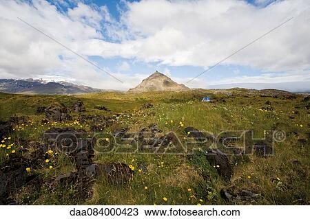 Tranquil countryside with mountain in the distance, Hellnar, Iceland View Large Photo Image Stock Image - Tranquil countryside with mountain in the distance, Hellnar, Iceland. Fotosearch