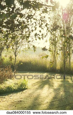 Tranquil rural scene View Large Photo Image Stock Photography - Tranquil rural scene. Fotosearch